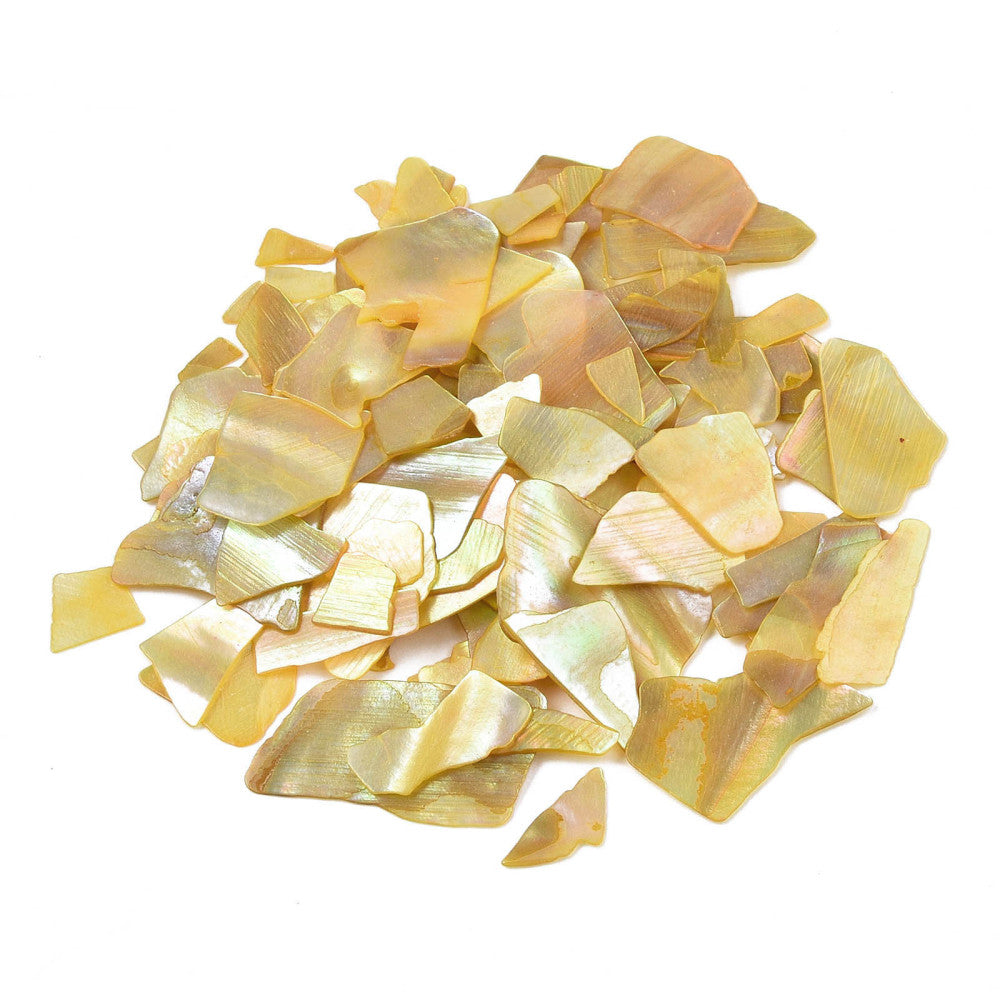 Gold abalone chips