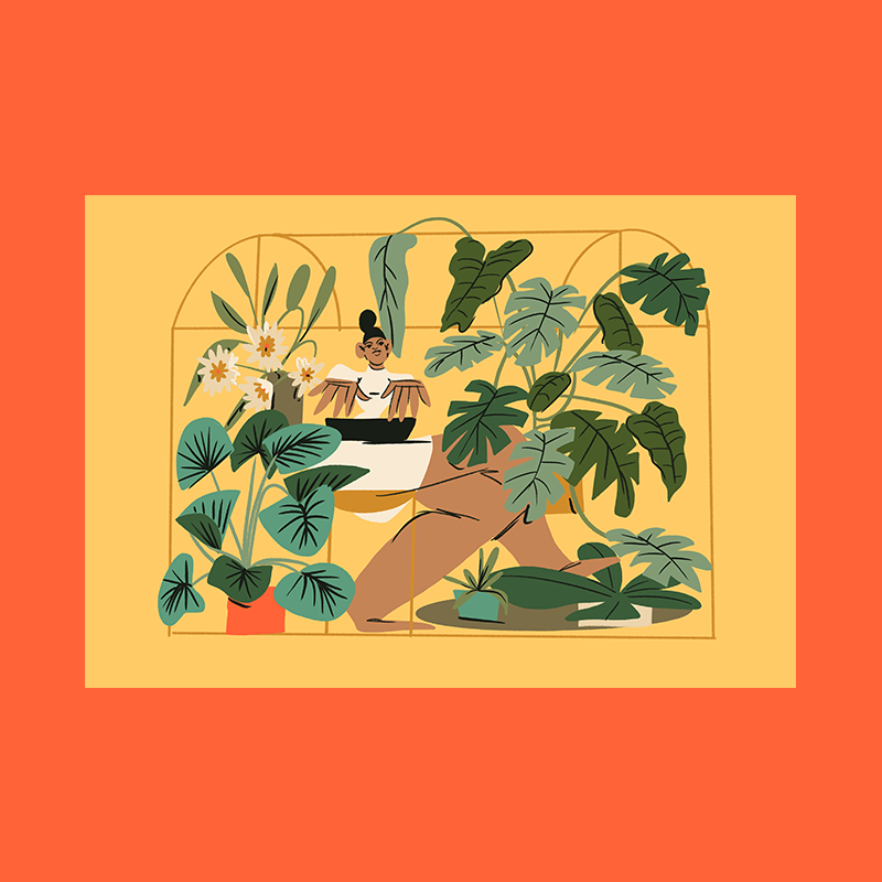 Working from home plants version - Framed greeting card!